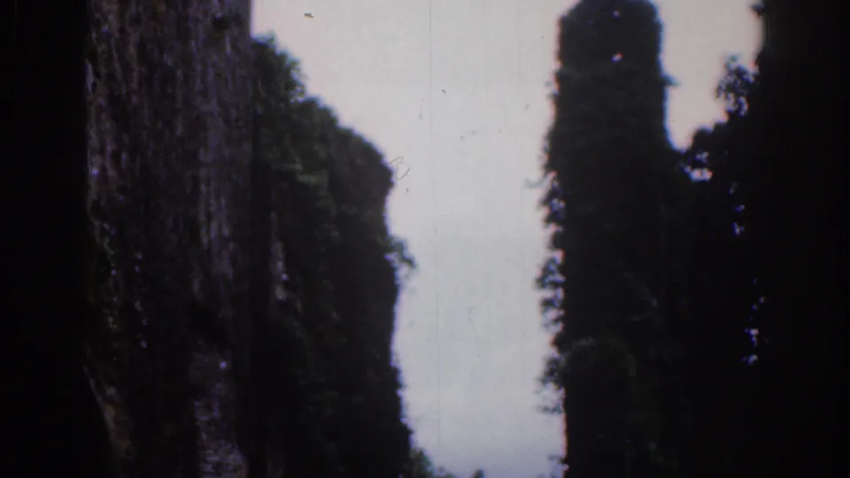 1961 Dublin frame with a close view of rough stonework, tree silhouettes, and cloudy sky.