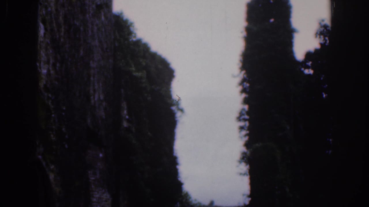 Home-movie frame from 1961 Dublin showing ruin masonry beside dense trees under overcast light.
