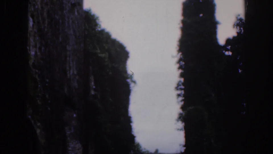 Home-movie frame from 1961 Dublin showing ruin masonry beside dense trees under overcast light.