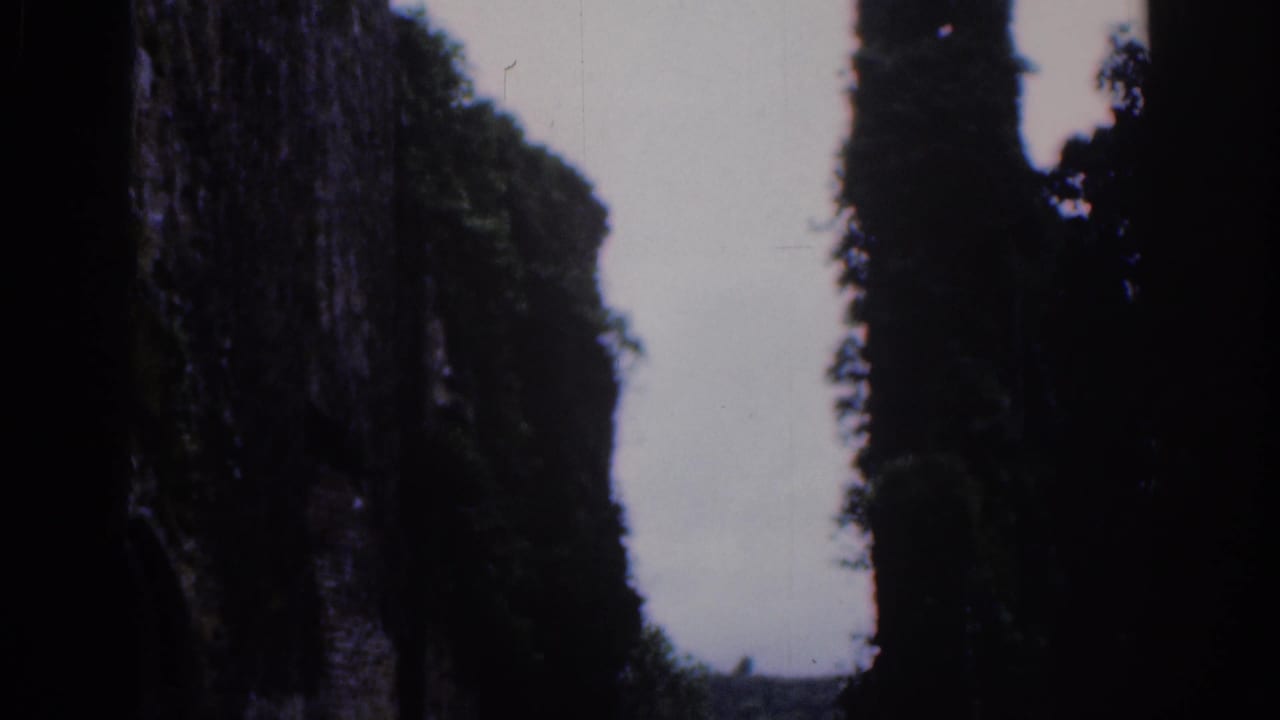 Dublin-area 1961 travel footage appears to look through ivy-covered ruin walls toward trees and sky.