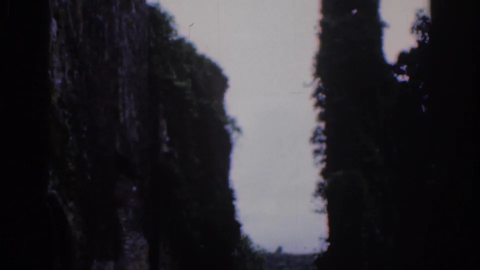 Dublin-area 1961 travel footage appears to look through ivy-covered ruin walls toward trees and sky.