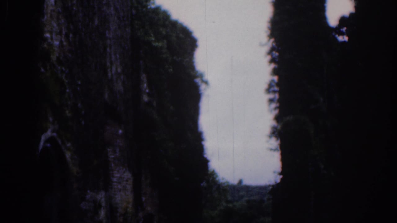 A shadowed section of ancient stone ruins near Dublin, with ivy, trees, and an overcast sky visible through the gap.