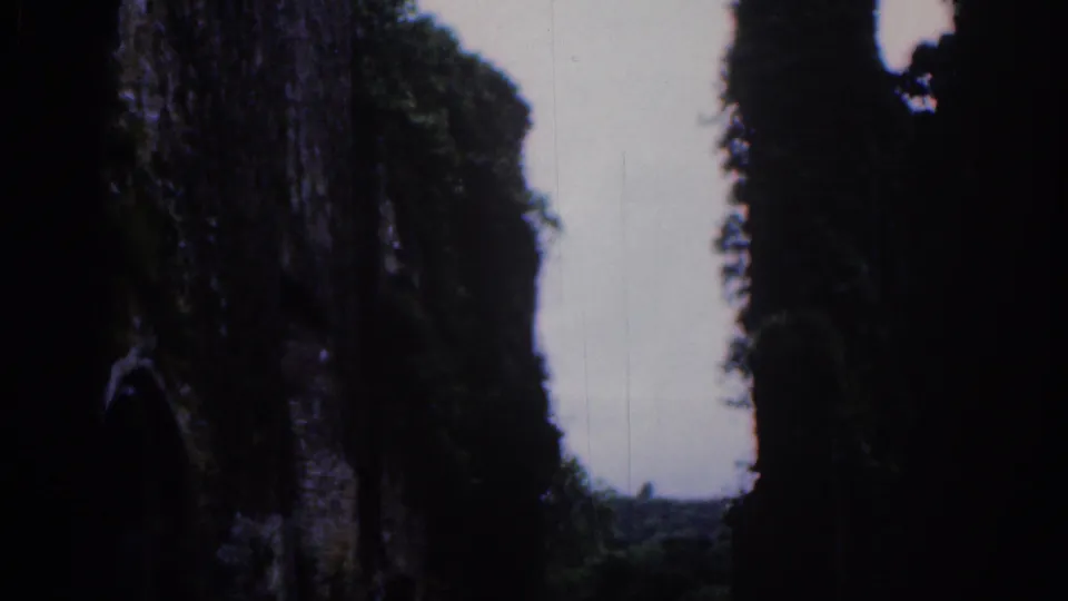 A shadowed section of ancient stone ruins near Dublin, with ivy, trees, and an overcast sky visible through the gap.