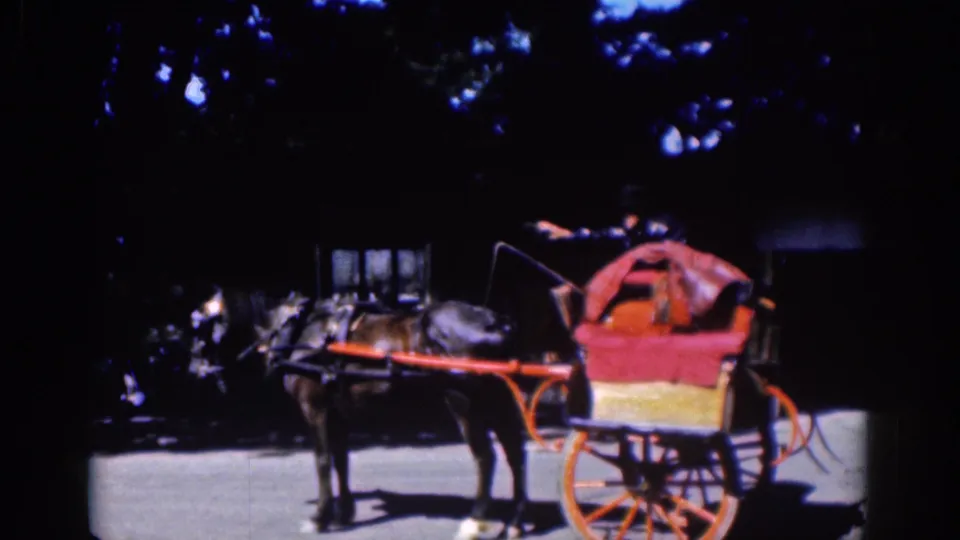 1961 Dublin street view with a dark horse attached to a red carriage, partly shaded by trees, with a small person visible near the carriage.