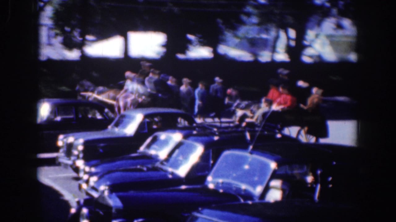 Buggy passengers sit above a line of parked cars on a shaded street.