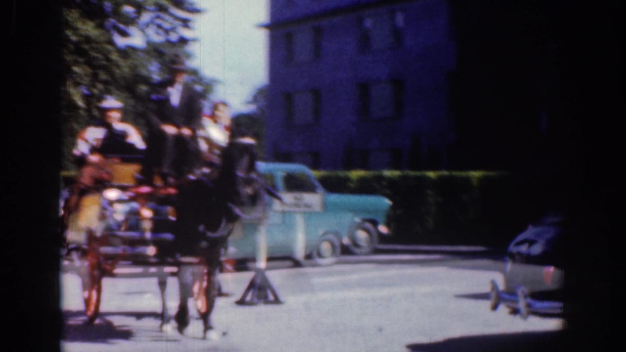 Carriage and horse moving past a roadside sign with parked blue cars and buildings behind.