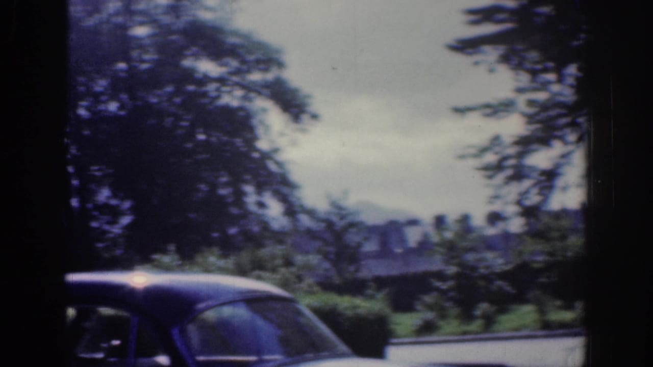 A dark car passes near trees with a distant building beyond.
