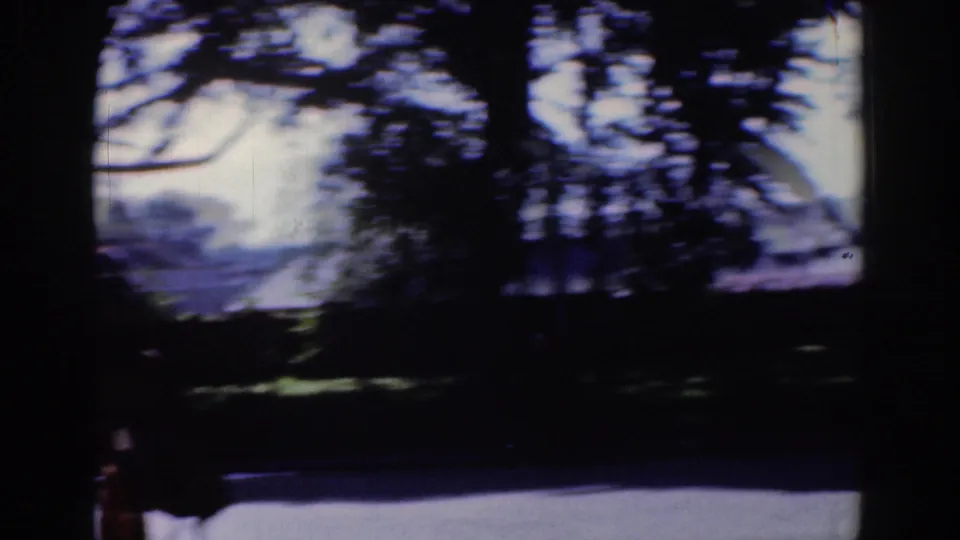 The handheld 8mm view moves through trees, showing a soft park landscape and distant structures in Dublin.