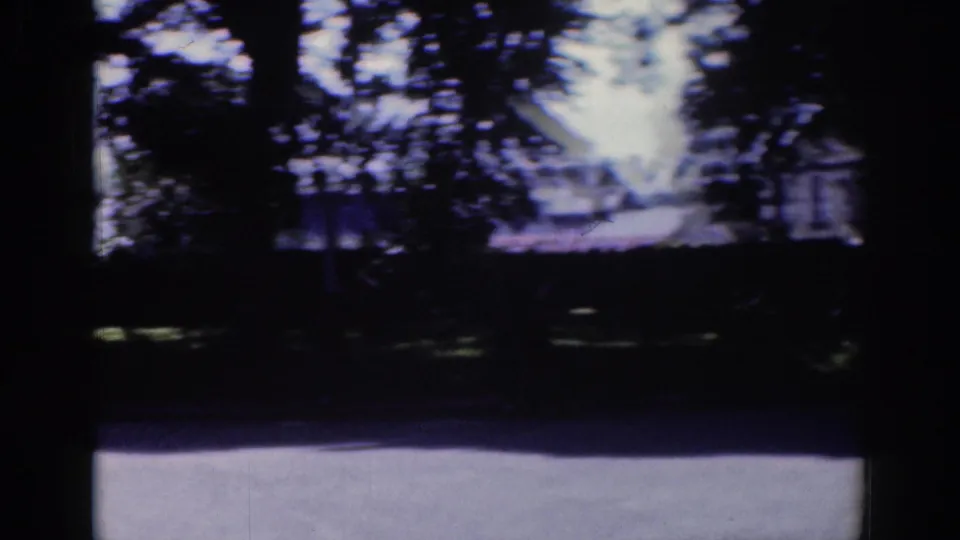 A horse-drawn carriage continues through a shaded Dublin park scene, partly obscured by trees and film blur.