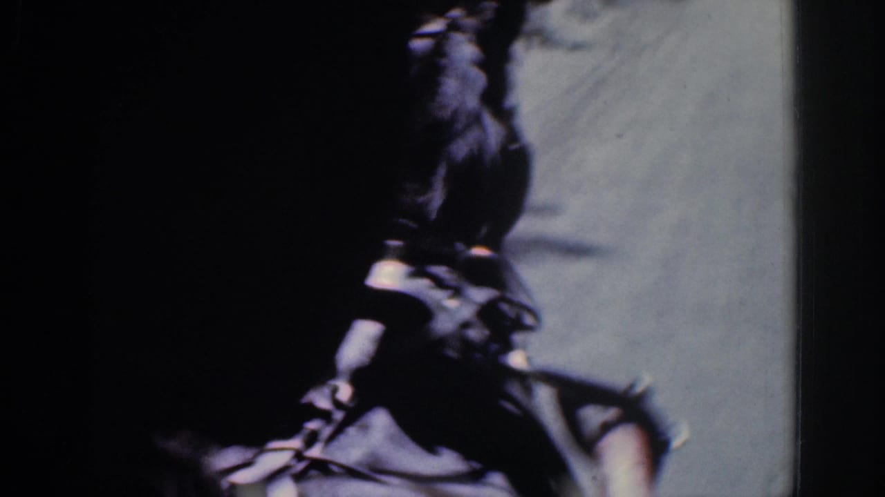 Close, dark 8mm frame of a horse head and harness seen from a moving point of view in 1960s Ireland footage.
