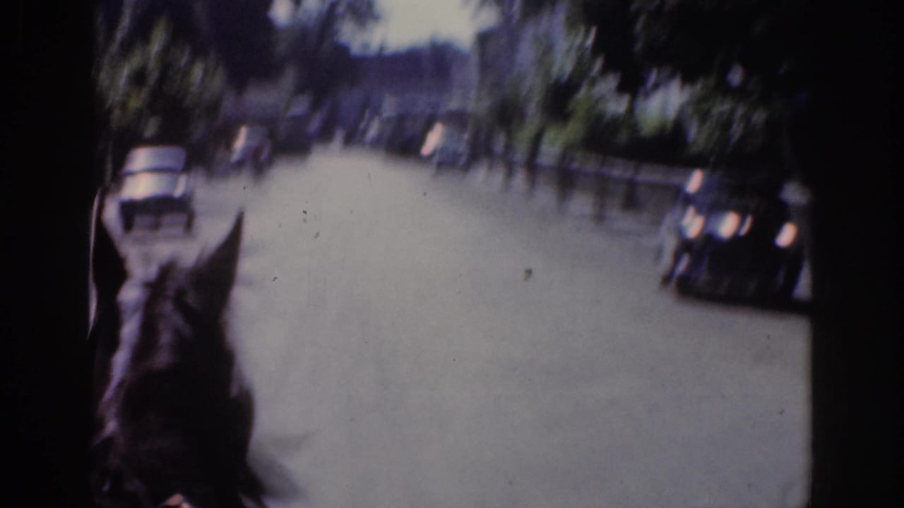 Horse ears in the foreground on a road with several cars ahead.