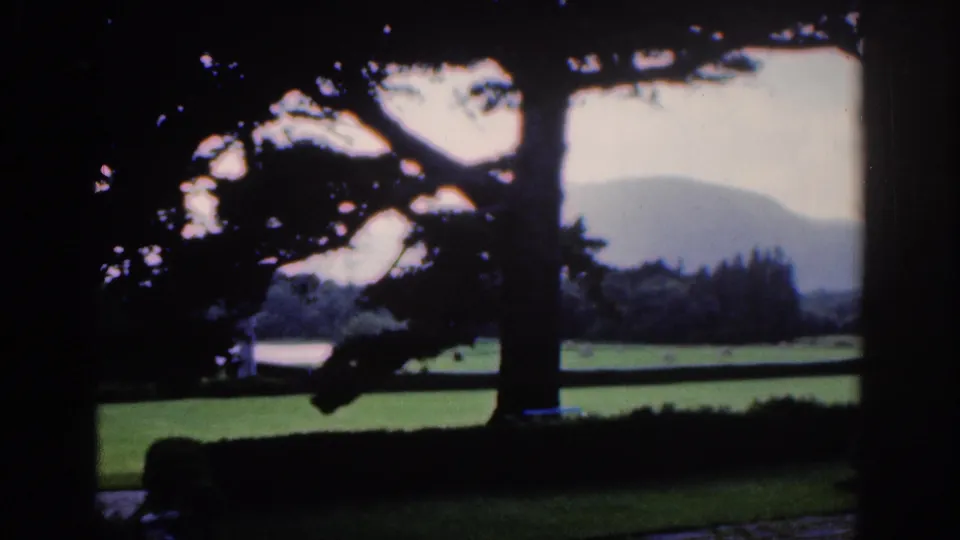 Visitor-shot 8mm view from a dark opening toward Dublin parkland, a silhouetted tree, green lawns, hedges, and low hills.