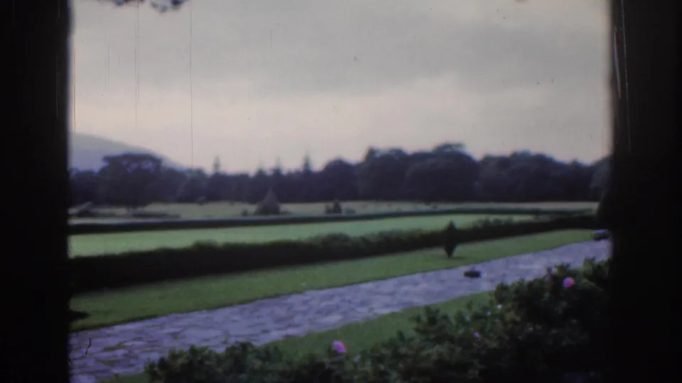 Soft 8mm frame of Dublin parkland with a path, hedged lawns, tree line, small flowers, and distant hills in overcast light.