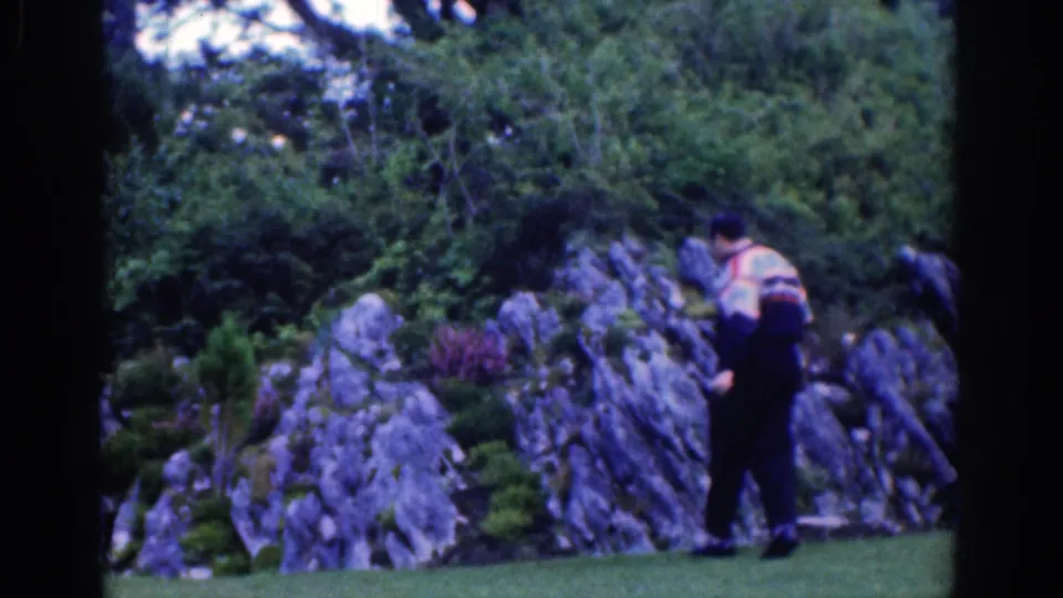 The man bends slightly near the rock garden, partly turned away in the 1961 Dublin park scene.