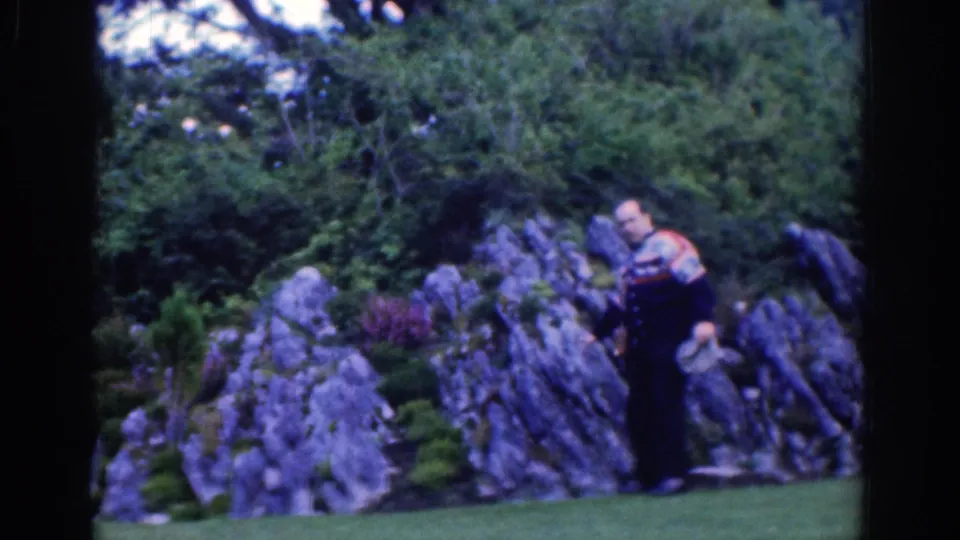 Near the end of the clip, the man stands by the rock formation holding his hat in the Dublin park setting.