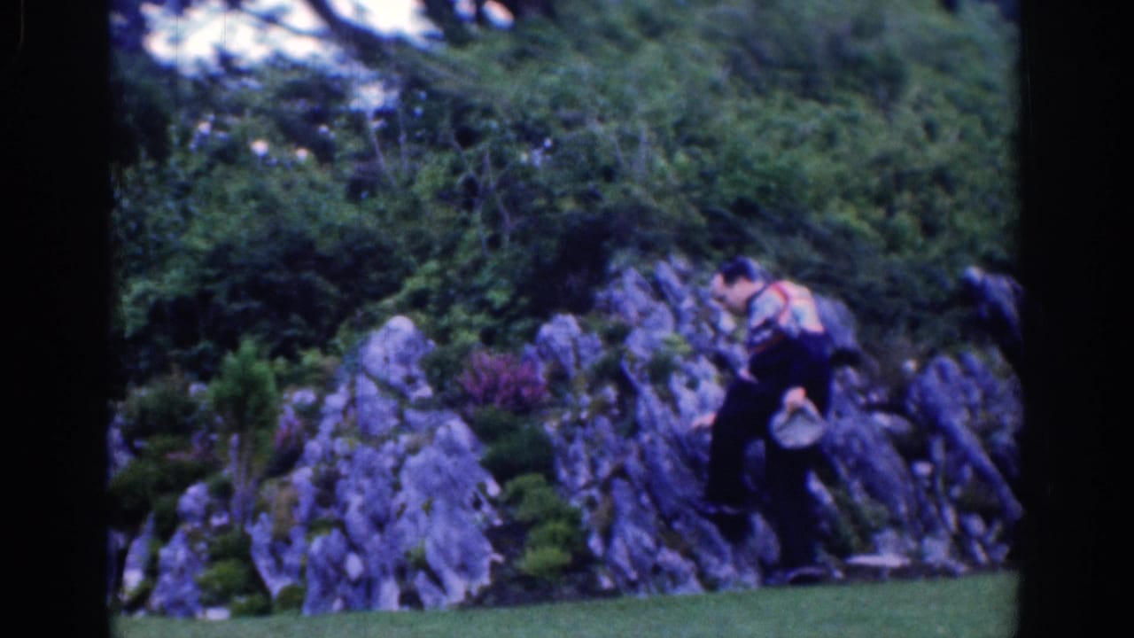 1961 Dublin home-movie frame of a man in patterned knitwear moving through a garden with rocks, shrubs, and lawn.