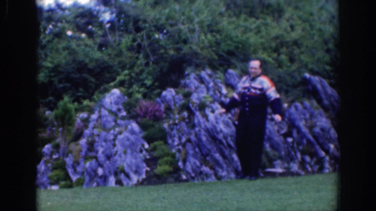 Man standing on grass near jagged rocks and garden planting.