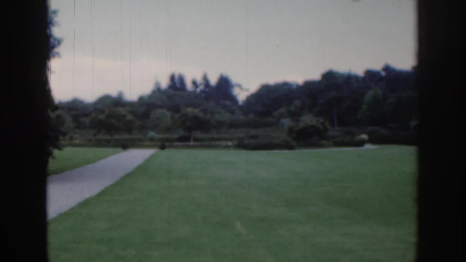 The scene cuts to an empty Dublin park view with a pale path across grass, shrubs, trees, and distant hills under a soft sky.