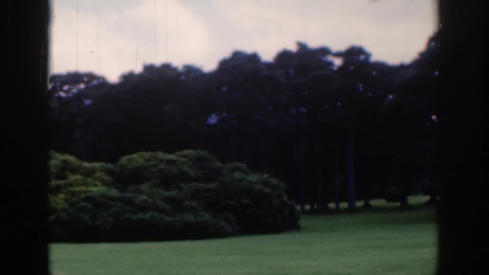 The 1961 Dublin home-movie view shifts to a landscaped park area with shrubs, open grass, tall dark trees, and an overcast sky.