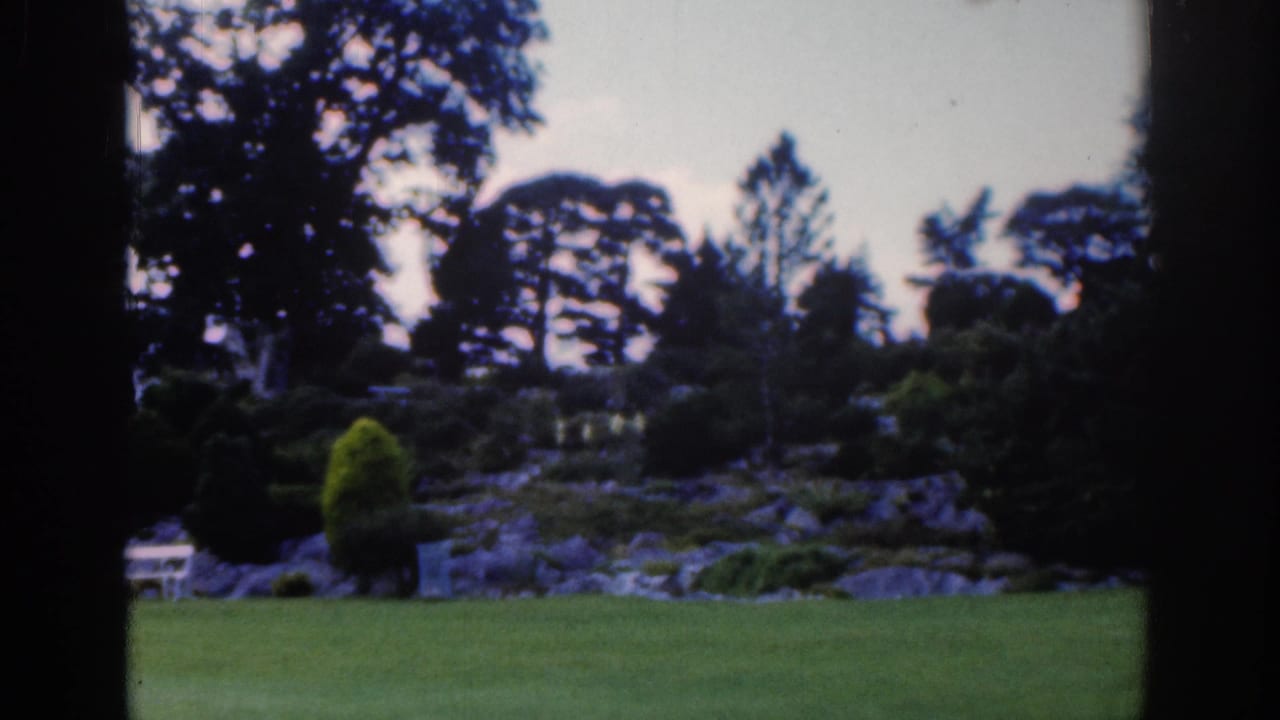 1961 Dublin-area 8mm frame showing a quiet lawn, planted shrubs, mature trees, and soft hill shapes beyond the garden.