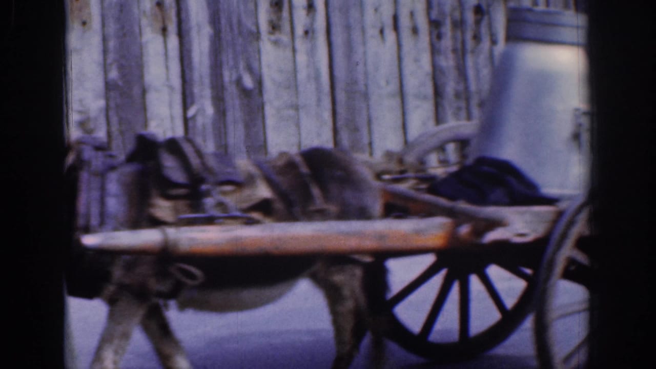 1961 Dublin frame showing a donkey pulling a wooden cart with a large metal milk can near a weathered fence.