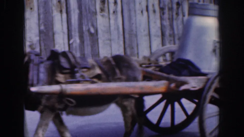 1961 Dublin frame showing a donkey pulling a wooden cart with a large metal milk can near a weathered fence.