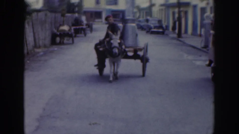 Woman rides a donkey-drawn cart away along a Dublin street, with parked cars, buildings, and distant pedestrians visible.