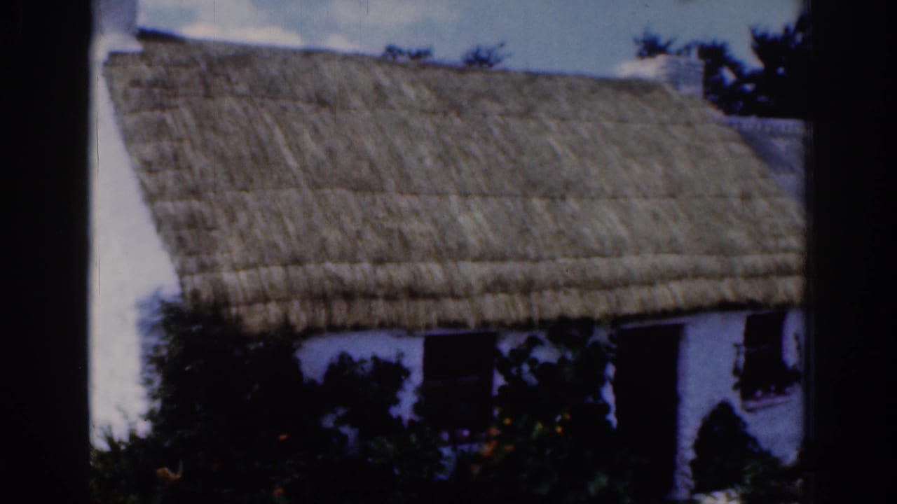 Thatched cottage roof and white wall with dark windows and garden plants in front.