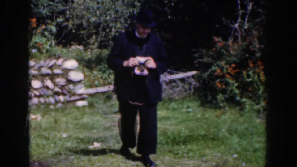 The man pauses in the grass and looks down at his camera, with shrubs and a stone wall behind him.