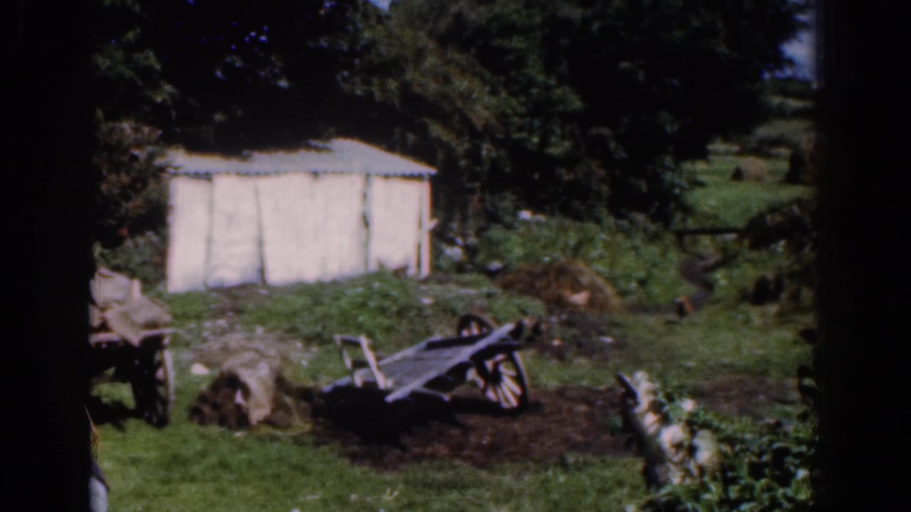 1961 Dublin-area rural yard with a white shed behind wooden carts, sacks, dark soil, trees, and a garden border.