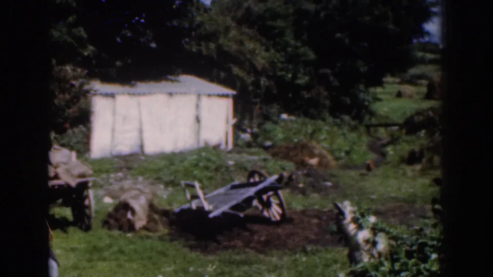 1961 Dublin-area rural yard with a white shed behind wooden carts, sacks, dark soil, trees, and a garden border.