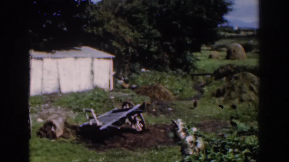 1961 Dublin-area countryside view with a white shed, wooden cart, sacks, garden plants, trees, and a distant haystack.