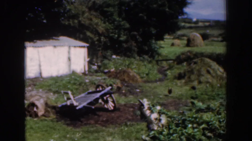 1961 Dublin-area home-movie frame with a white shed, cart, garden rows, trees, open grass, and a haystack in the background.