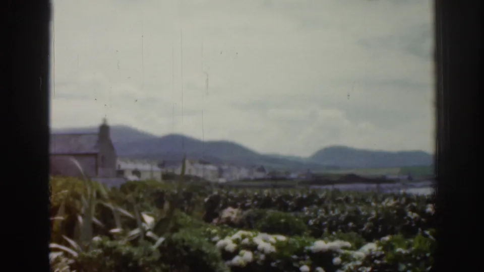 1961 Ireland countryside frame with garden plants, distant buildings, low hills, and a church-like tower near the left edge.