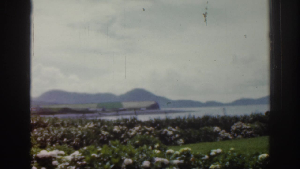 1961 Ireland coastal landscape filmed through a window, with white shrubs, green land, water, and distant mountains.