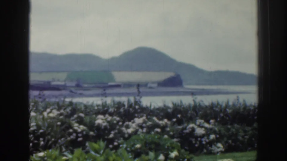 1961 Ireland frame looking past flowering shrubs to water, distant hills, shoreline features, and a large waterfront building.