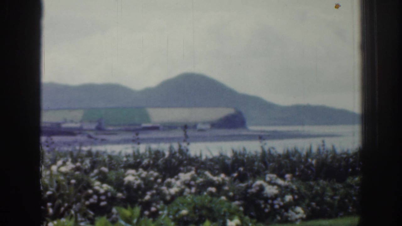1961 Ireland home-movie frame looking past a dark window edge toward a lake or bay, green hills, and foreground flowering bushes.