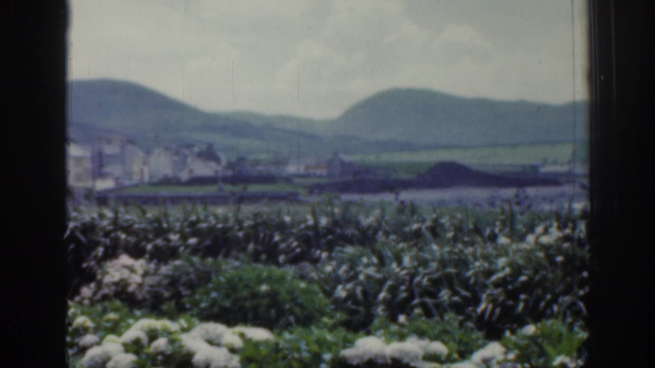 Distant white buildings along water with green fields, hills, and foreground plants.
