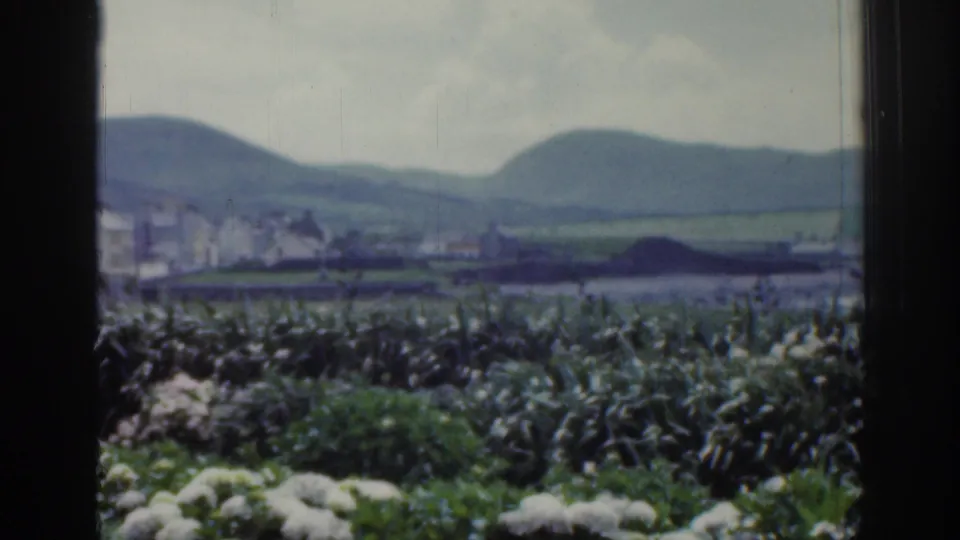 1961 Ireland frame showing a shoreline settlement with white buildings beyond foreground vegetation and water, backed by green fields and low hills.