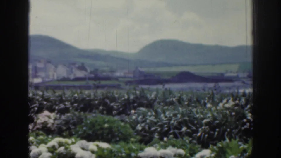 1961 Ireland 8mm frame with a window edge, pale flowering shrubs, a distant shoreline village, green fields, and hills under cloudy sky.
