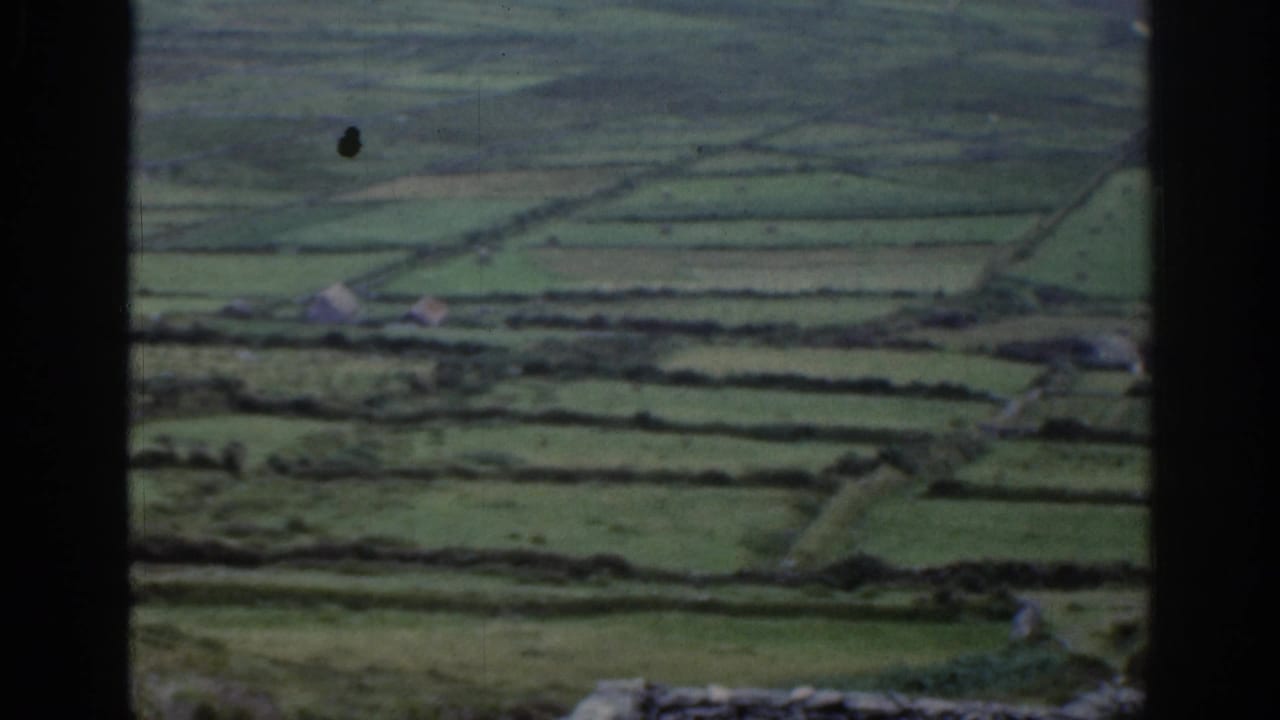1961 Ireland home-movie view of green fields, stone wall boundaries, distant farm buildings, and a dark foreground frame.