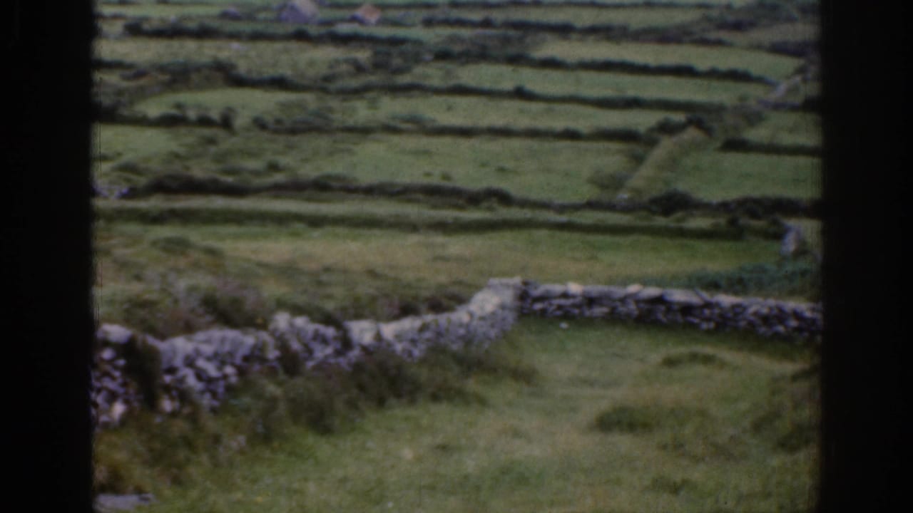 8mm view of rural Ireland showing grassy fields, low stone walls, foreground vegetation, and a dark window-frame edge.