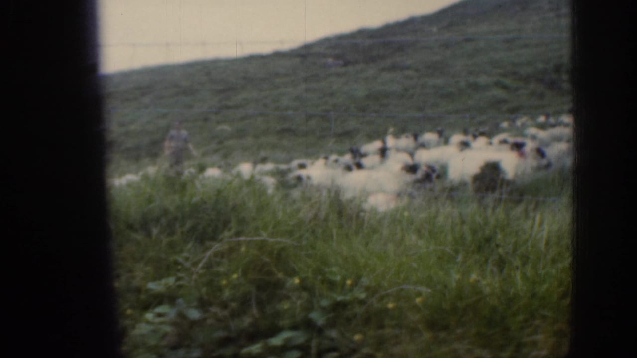 A flock of sheep grazes on a hillside behind a window frame.