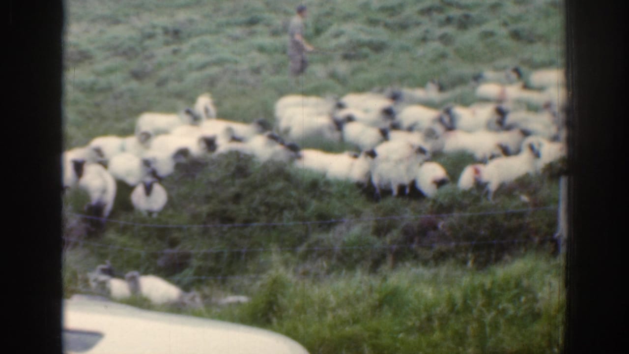 A 1961 Ireland frame shows sheep clustered by a wire fence, with a distant adult figure on the grassy hill.