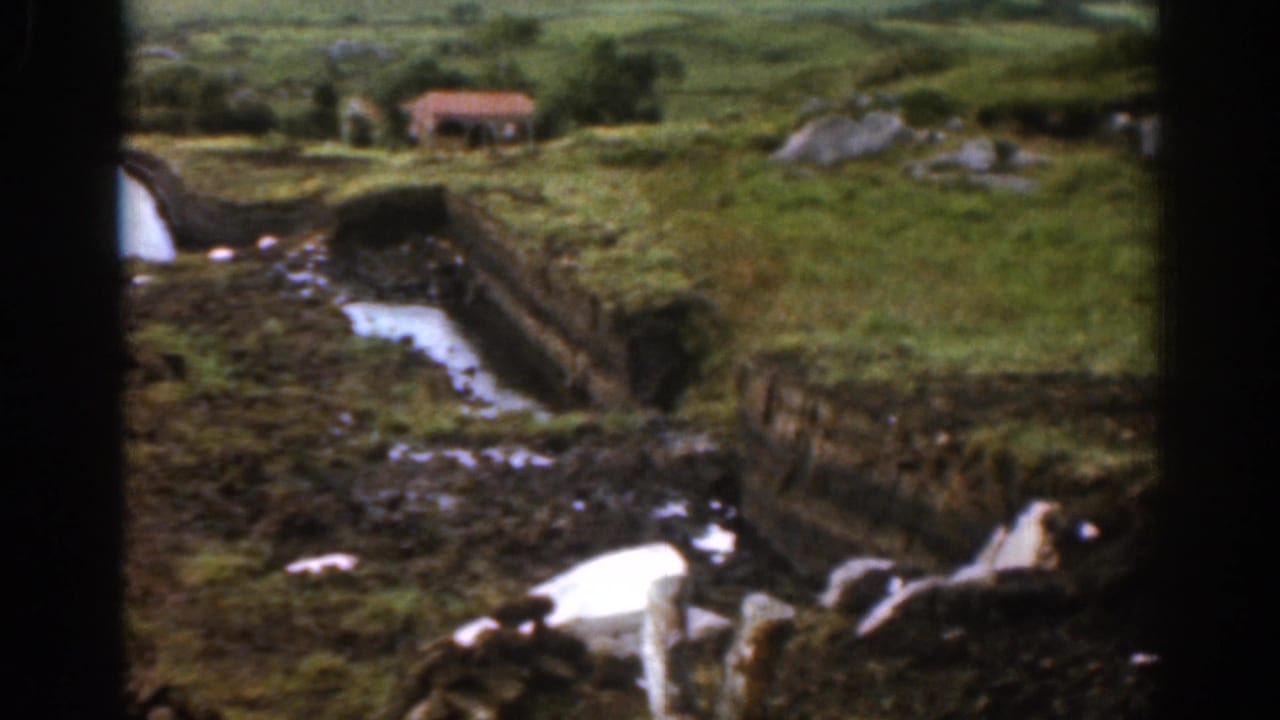1961 Ireland home-movie frame showing a stream channel, grassy pasture, stone wall, and a small distant farmhouse.