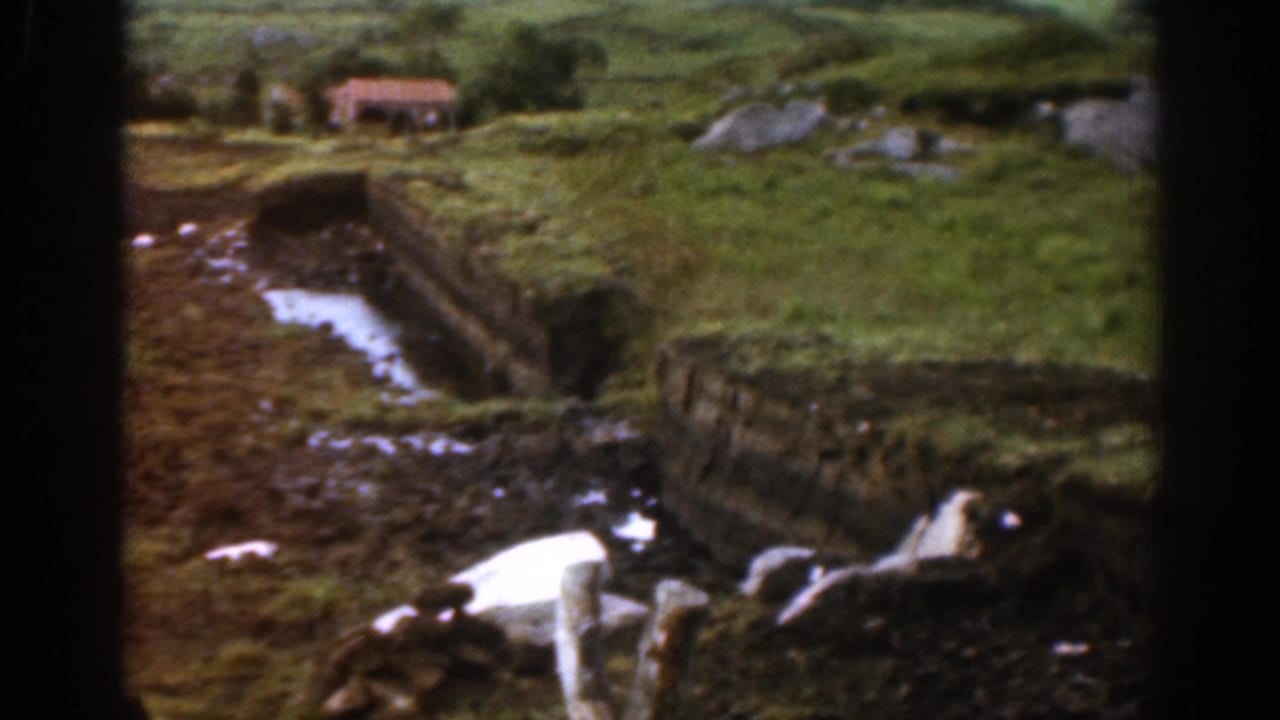 Stream and stone wall crossing a green rural landscape.