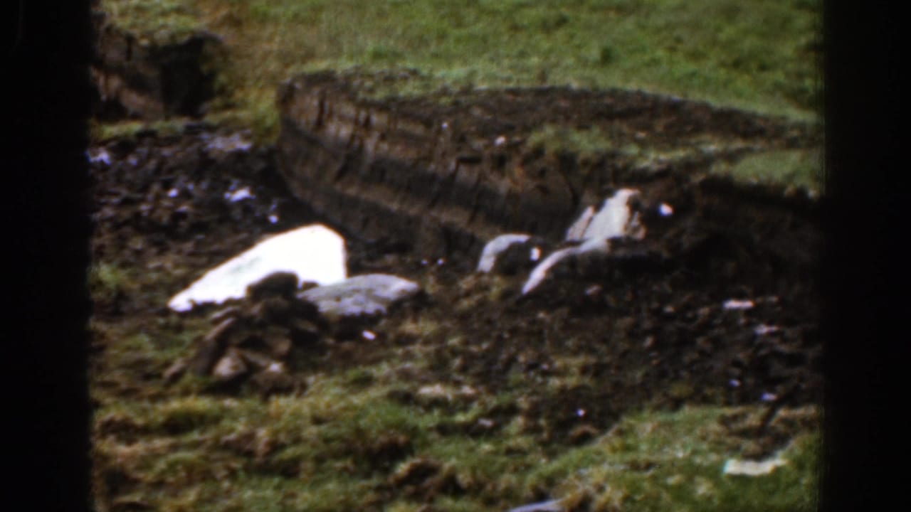 White melting snow or ice on dark wet ground with grass, rocks, and a rough bank behind it.