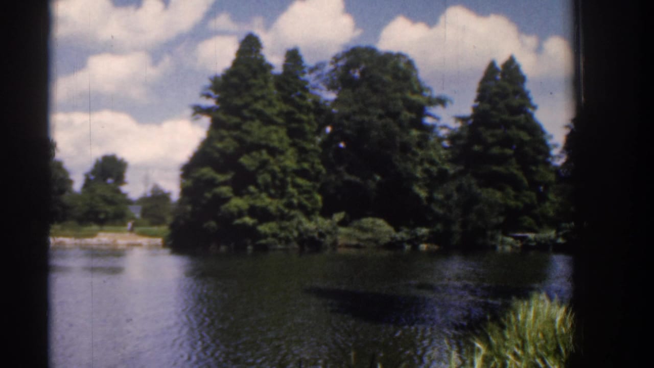 1961 Ireland home-movie frame showing a calm lake, dense trees, clouds, and shore plants from a handheld visitor viewpoint.