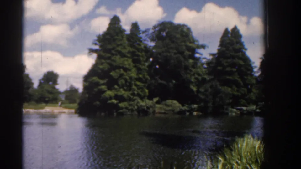 1961 Ireland home-movie frame showing a calm lake, dense trees, clouds, and shore plants from a handheld visitor viewpoint.