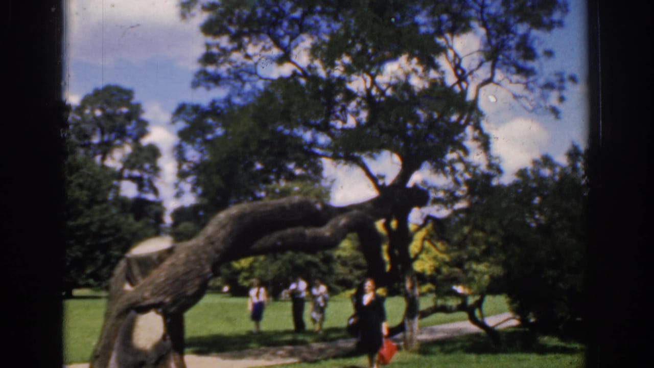 Home-movie frame from 1961 Ireland showing adults crossing a park lawn near a sculptural leaning tree.